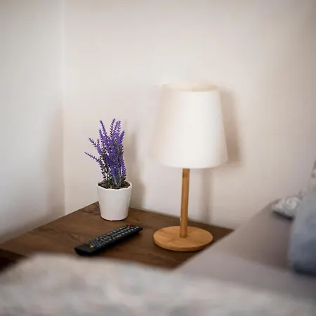 Apartamento Slavíkov - Simple *