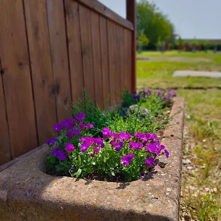 Apartamento Slavíkov - Simple