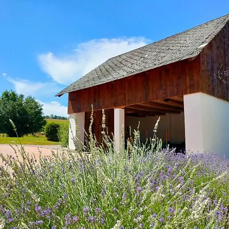 Apartamento Slavíkov - Simple Horni Radechova